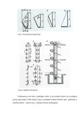 Sraigtiniai transporteriai. Elevatoriai 7 puslapis