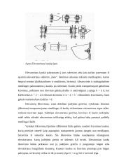 Sraigtiniai transporteriai. Elevatoriai 8 puslapis