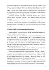 Slaptumo ir viešumo principų derinimas ikiteisminiame tyrime 11 puslapis