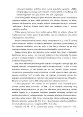 Slaptumo ir viešumo principų derinimas ikiteisminiame tyrime 6 puslapis