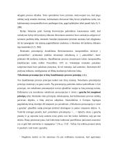 Nekaltumo prezumpcija: įtvirtinimas Lietuvos teisėje ir kai kurie turinio aspektai 12 puslapis