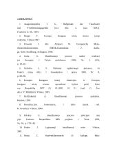 Nekaltumo prezumpcija: įtvirtinimas Lietuvos teisėje ir kai kurie turinio aspektai 17 puslapis