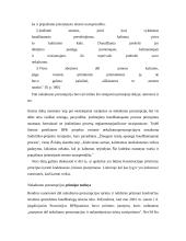 Nekaltumo prezumpcija: įtvirtinimas Lietuvos teisėje ir kai kurie turinio aspektai 6 puslapis