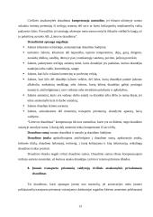 Civilinės atsakomybės draudimas. Civilinės atsakomybės draudimo rūšys "Lietuvos draudime" 13 puslapis