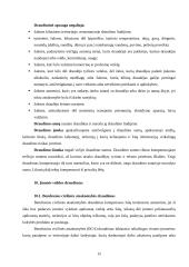 Civilinės atsakomybės draudimas. Civilinės atsakomybės draudimo rūšys "Lietuvos draudime" 15 puslapis