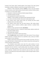 Civilinės atsakomybės draudimas. Civilinės atsakomybės draudimo rūšys "Lietuvos draudime" 16 puslapis