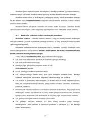 Civilinės atsakomybės draudimas. Civilinės atsakomybės draudimo rūšys "Lietuvos draudime" 17 puslapis