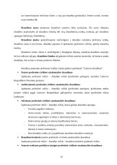 Civilinės atsakomybės draudimas. Civilinės atsakomybės draudimo rūšys "Lietuvos draudime" 19 puslapis
