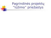Projekto rizikos valdymas 2 puslapis