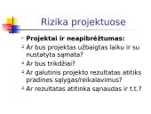 Projekto rizikos valdymas 11 puslapis