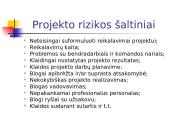 Projekto rizikos valdymas 12 puslapis