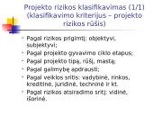 Projekto rizikos valdymas 13 puslapis