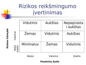 Projekto rizikos valdymas 18 puslapis