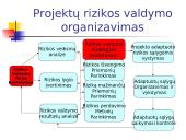 Projekto rizikos valdymas 20 puslapis