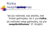 Projekto rizikos valdymas 3 puslapis