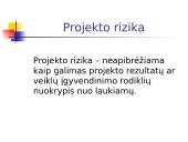 Projekto rizikos valdymas 5 puslapis