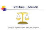 Projekto rizikos valdymas 7 puslapis