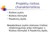 Projekto rizikos valdymas 8 puslapis
