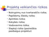 Projekto rizikos valdymas 10 puslapis
