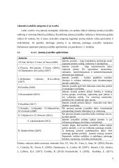 “Huckle The Barber“ įvaizdis ir jo formavimas 3 puslapis