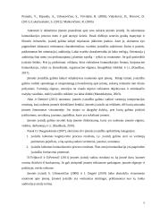 “Huckle The Barber“ įvaizdis ir jo formavimas 4 puslapis