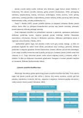 “Huckle The Barber“ įvaizdis ir jo formavimas 8 puslapis