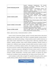 “Huckle The Barber“ įvaizdis ir jo formavimas 10 puslapis