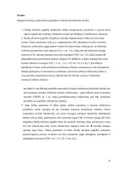 Advokato atlyginimas 13 puslapis