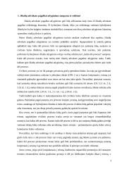 Advokato atlyginimas 3 puslapis