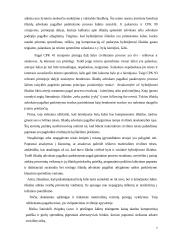 Advokato atlyginimas 7 puslapis