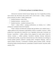 Elektroninės valdžios įgyvendinimas: Joniškio rajono atvejis  16 puslapis