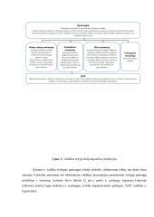 Elektroninės valdžios įgyvendinimas: Joniškio rajono atvejis  17 puslapis