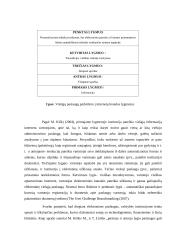 Elektroninės valdžios įgyvendinimas: Joniškio rajono atvejis  18 puslapis