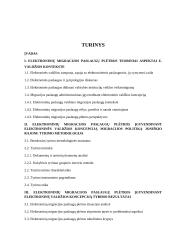 Elektroninės valdžios įgyvendinimas: Joniškio rajono atvejis  5 puslapis