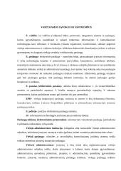 Elektroninės valdžios įgyvendinimas: Joniškio rajono atvejis  7 puslapis