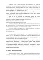 Vertikaliųjų susitarimų diplominis 11 puslapis