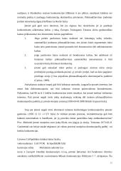 Vertikaliųjų susitarimų diplominis 12 puslapis