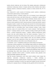 Vertikaliųjų susitarimų diplominis 13 puslapis