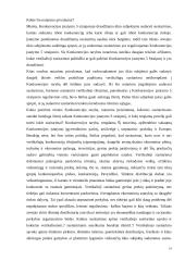 Vertikaliųjų susitarimų diplominis 14 puslapis