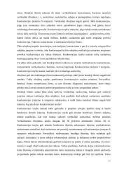 Vertikaliųjų susitarimų diplominis 15 puslapis