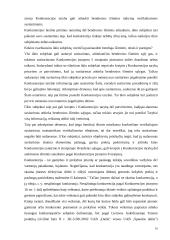 Vertikaliųjų susitarimų diplominis 16 puslapis