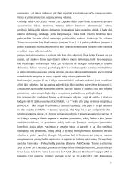 Vertikaliųjų susitarimų diplominis 17 puslapis