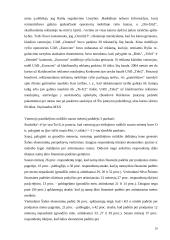 Vertikaliųjų susitarimų diplominis 20 puslapis