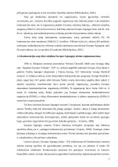 Vertikaliųjų susitarimų diplominis 4 puslapis