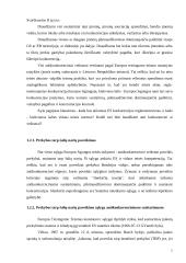 Vertikaliųjų susitarimų diplominis 5 puslapis