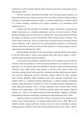 Vertikaliųjų susitarimų diplominis 8 puslapis