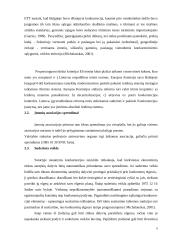 Vertikaliųjų susitarimų diplominis 9 puslapis