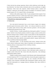 Vertikaliųjų susitarimų diplominis 10 puslapis