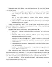 Lietuvos paskolų struktūrinė analizė 5 puslapis