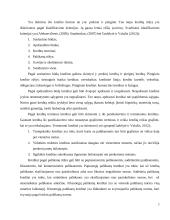 Lietuvos paskolų struktūrinė analizė 7 puslapis